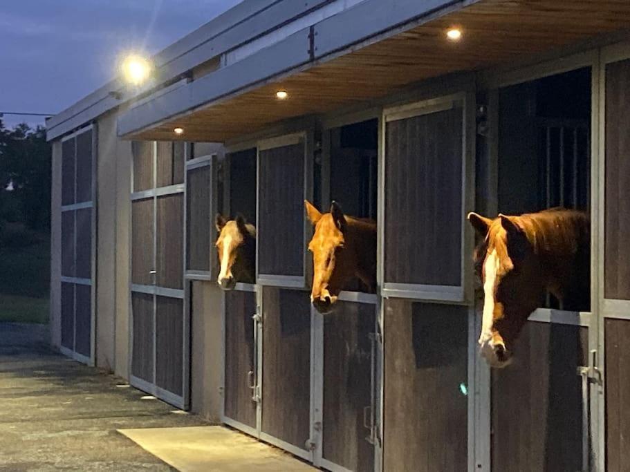 Logement Entier De Charme, Gite Equestre Gers Flamarens Екстер'єр фото