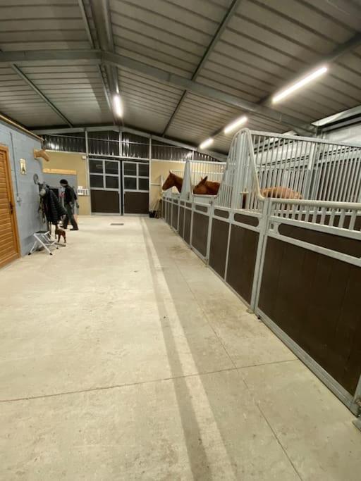 Logement Entier De Charme, Gite Equestre Gers Flamarens Екстер'єр фото